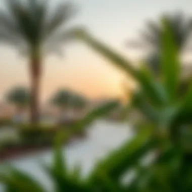Beautiful parks and recreational areas in Al Jafiliya