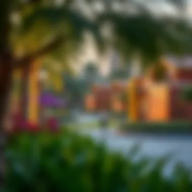 Community Amenities in Al Warsan Community park and recreational area in Al Warsan