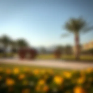 An engaging image of local parks and recreational areas in Aroos Muhaisnah 4.