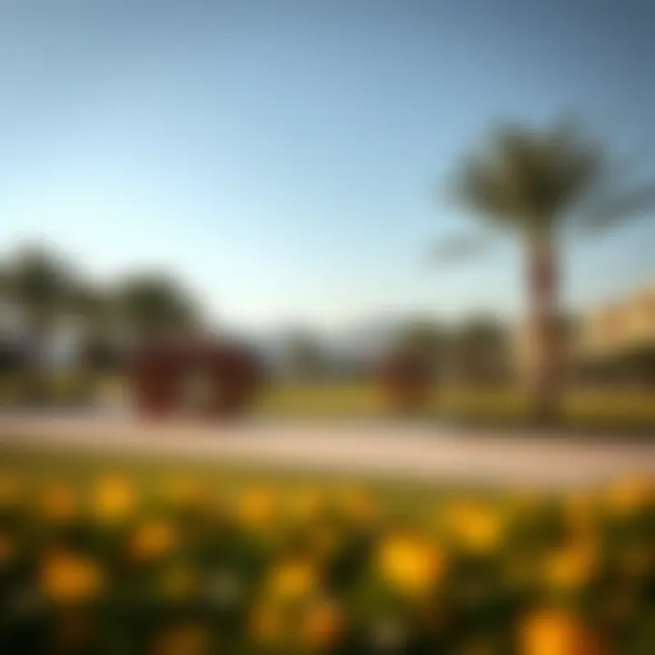 An engaging image of local parks and recreational areas in Aroos Muhaisnah 4.