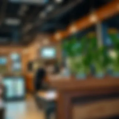 Casual Eateries in Dubai Hills Mall Vibrant casual eatery with a local food concept