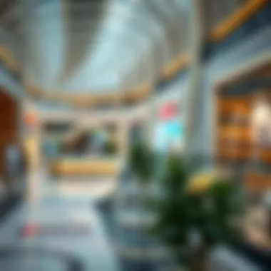 Inside Dubai Mall showcasing a luxurious retail environment