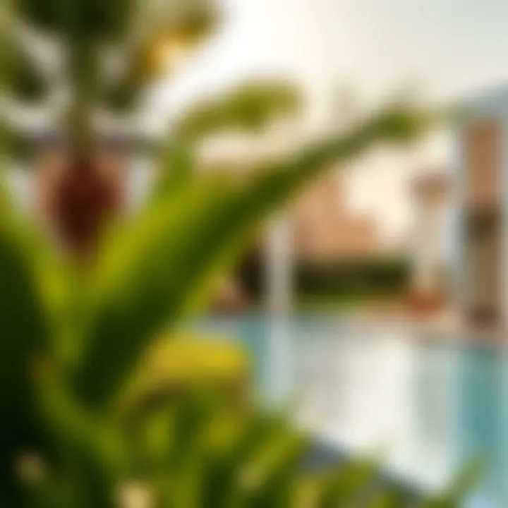 Community amenities including pool and recreational areas