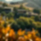 Lush landscape of Acacia community