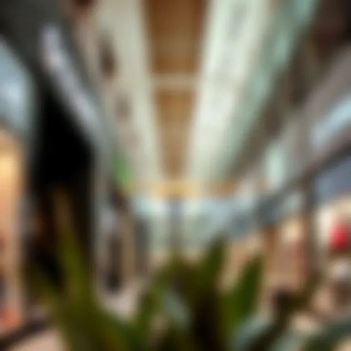 Unique retail offerings at a value-oriented shopping center