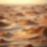 Vast expanse of Al Aweer Desert showcasing its unique terrain