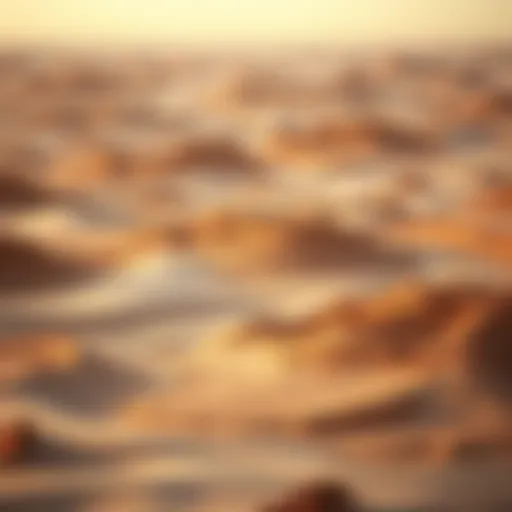 Vast expanse of Al Aweer Desert showcasing its unique terrain