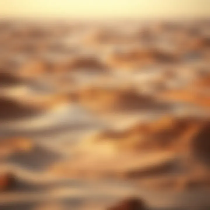 Vast Expanse of Al Aweer Desert Vast expanse of Al Aweer Desert showcasing its unique terrain