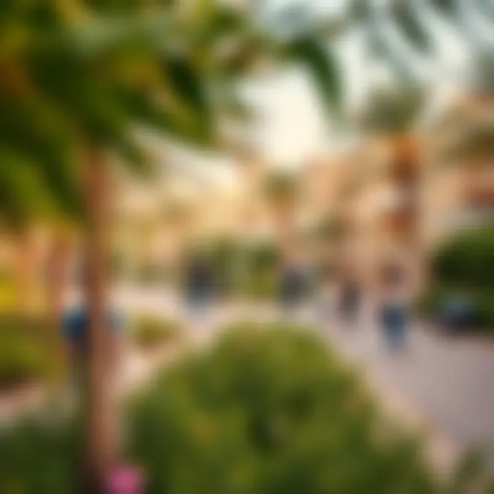 Vibrant community park showcasing local lifestyle