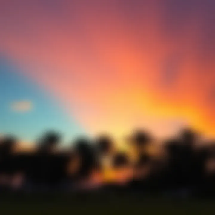 A vibrant sunset over Al Mamzar Park with silhouettes of palm trees