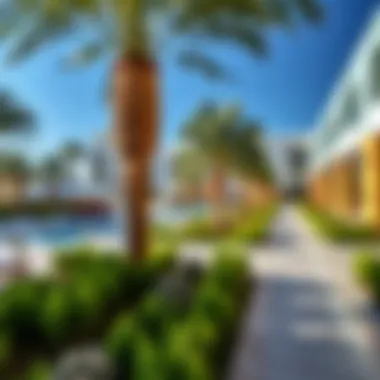 Vibrant community spaces at Al Mayan Yas Island attracting residents