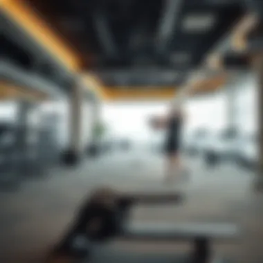 Expert Personal Training Services Personal training sessions in International City gym