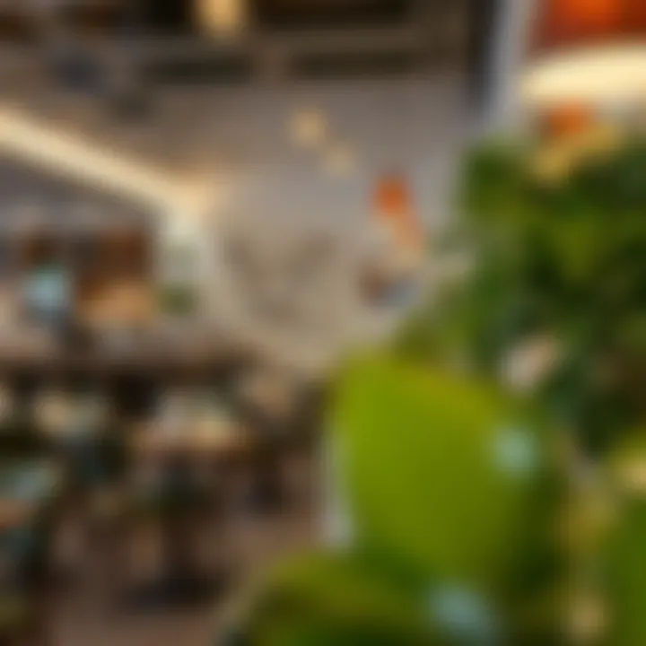 Exploring Culinary Offerings: Restaurants in Al Qusais Summary
