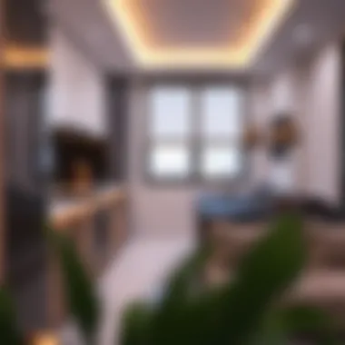 Modern kitchen design in a rental flat