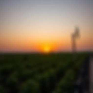 Sunset Over Agricultural Landscape Sunset view over Hatta's agricultural landscape