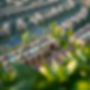 Aerial view of a luxurious residential community in Dubai