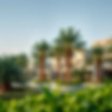 Lush green surroundings of palm tree residences