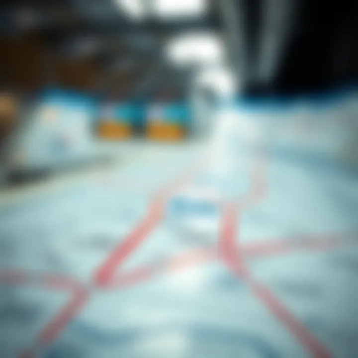 Map highlighting the connections of the Red Line stations