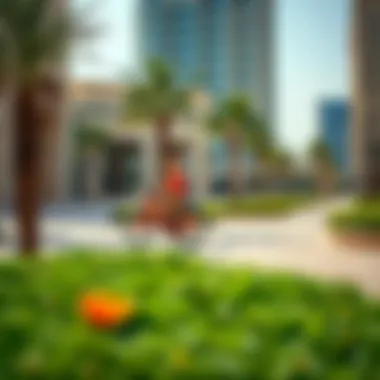 Nearby amenities including schools and parks in Al Rahba