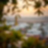 A panoramic view of Al Rahba community