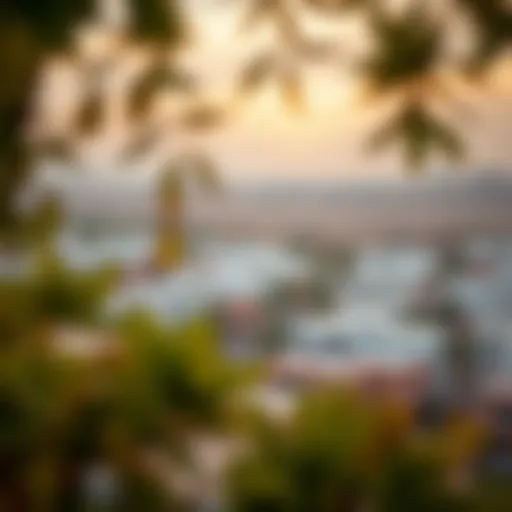 A panoramic view of Al Rahba community