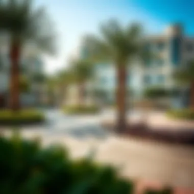 Amenities and Recreation in Al Jaddaf Highlighting amenities available in Al Jaddaf such as parks and recreational areas