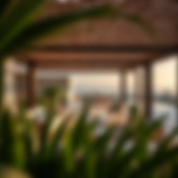 Serene outdoor living space in the residences