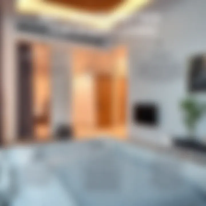 Key Amenities for Studio Living Infographic illustrating key amenities to consider in studio rentals