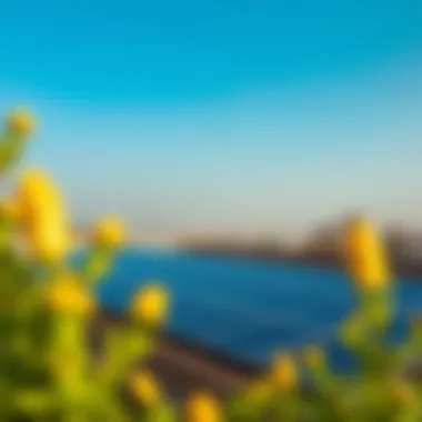 Harnessing Solar Energy in Urban Homes Solar panels on a rooftop in Dubai