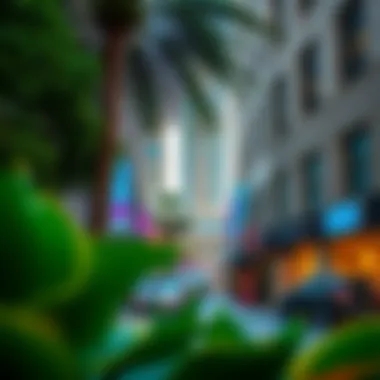 Dynamic Neighborhood Around The 118 Vibrant neighborhood surrounding The 118 Downtown Dubai