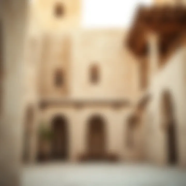 Cultural Significance of Biyot Al-Fallah Cultural aspects and design of traditional agrarian homes