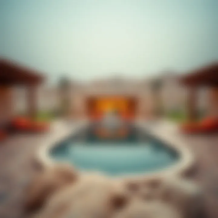 The serene beauty of the Liwa Oasis