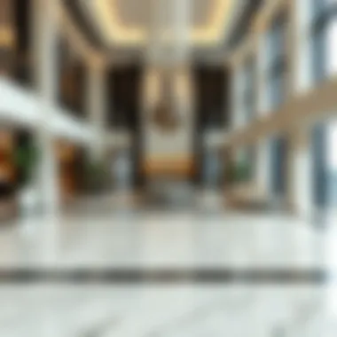 Luxurious amenities at Tiara Tower