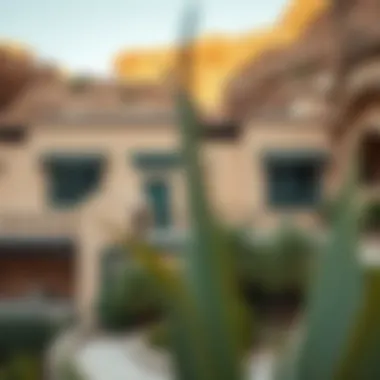 Historical Architecture in Nature Historical architecture blending with nature in Wadi Hatta