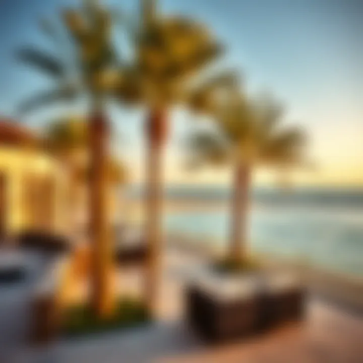 Serene Beachfront Vista at Five Palm Jumeirah Stunning beachfront view from the Five Palm Jumeirah Club