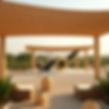 Sustainable tourism activities taking place in Green Mubazzarah's natural setting