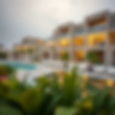 Understanding Residence Visa Status in the UAE Understanding residence visa status