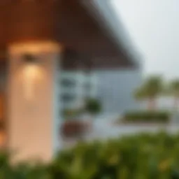 How to Check Your Visa Status in the UAE Introduction