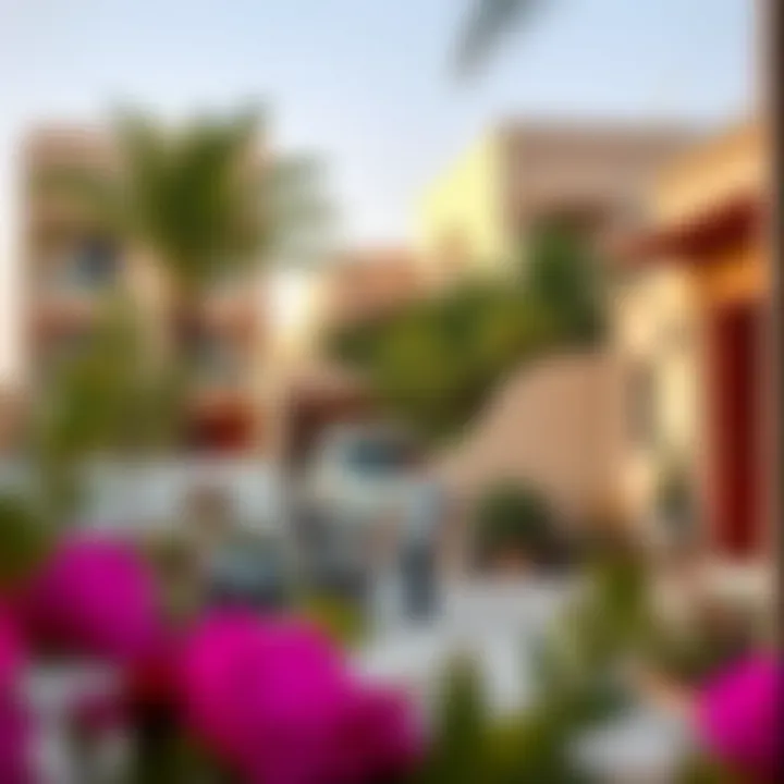 Vibrant lifestyle scenes in Qusais