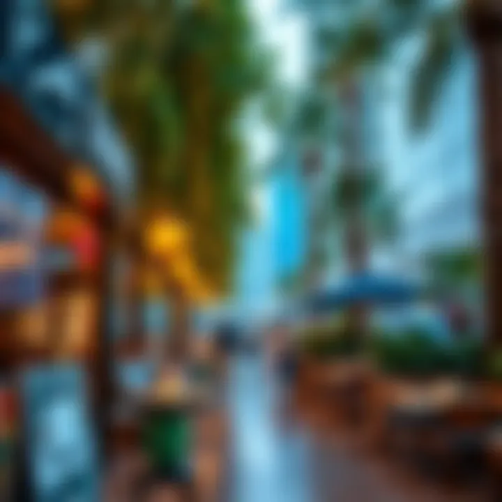 Lifestyle Choices in Dubai Vibrant lifestyle in Dubai with cafes and shopping