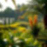 Lush greenery in Nad Al Hamar Park