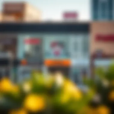 A group of diverse storefronts representing the commercial opportunities in International City