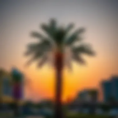 Nakhla at Sunset: Symbol of Growth Nakhla palm tree at sunset, symbolizing urban growth.