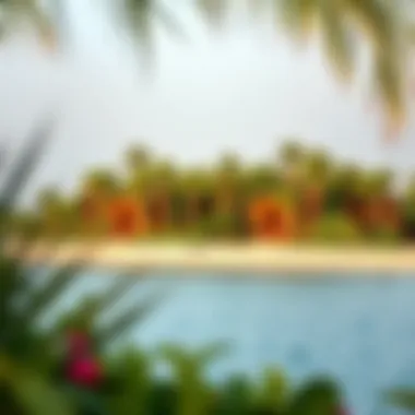 Lush greenery and beach on a Dubai island