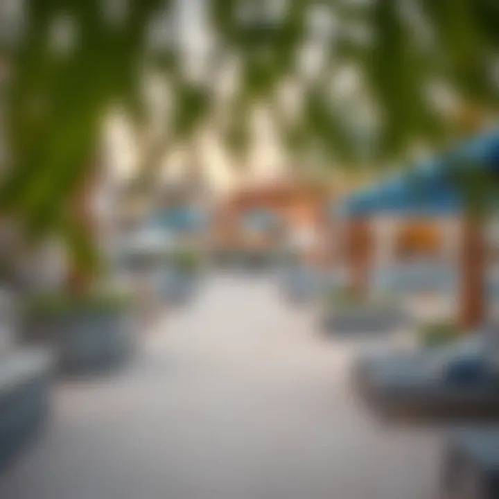 Outdoor amenities of a Palma Development community