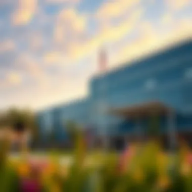 Diverse Curricula Options Diverse curricula options available in Dubai's premium schools