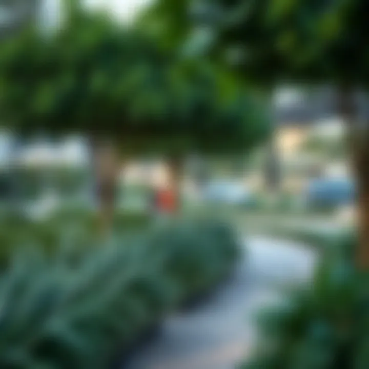 Vibrant community park in برايم المزهر with lush greenery
