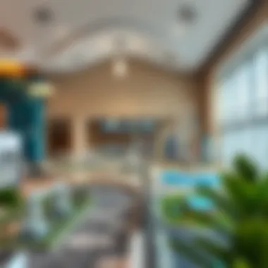 Infographic depicting the regulatory framework surrounding real estate in the UAE