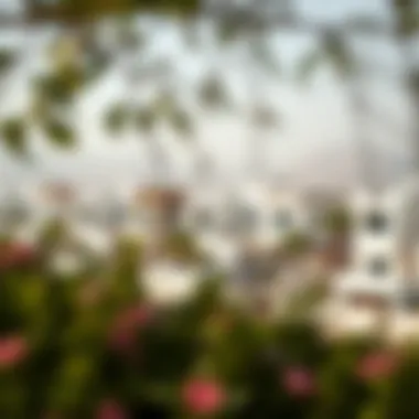 Neighborhood View of Al Suyuh Villas Neighborhood view showcasing villa surroundings and community