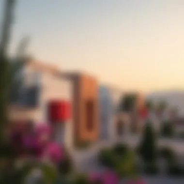 Residential properties in Sas Al Nakhl Village illustrating available real estate options